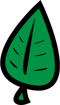 leaf